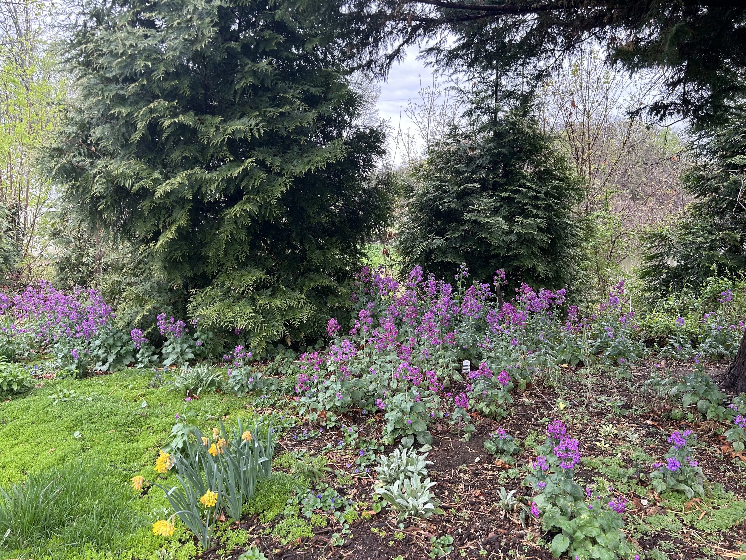 The Loop / April 7, 2026