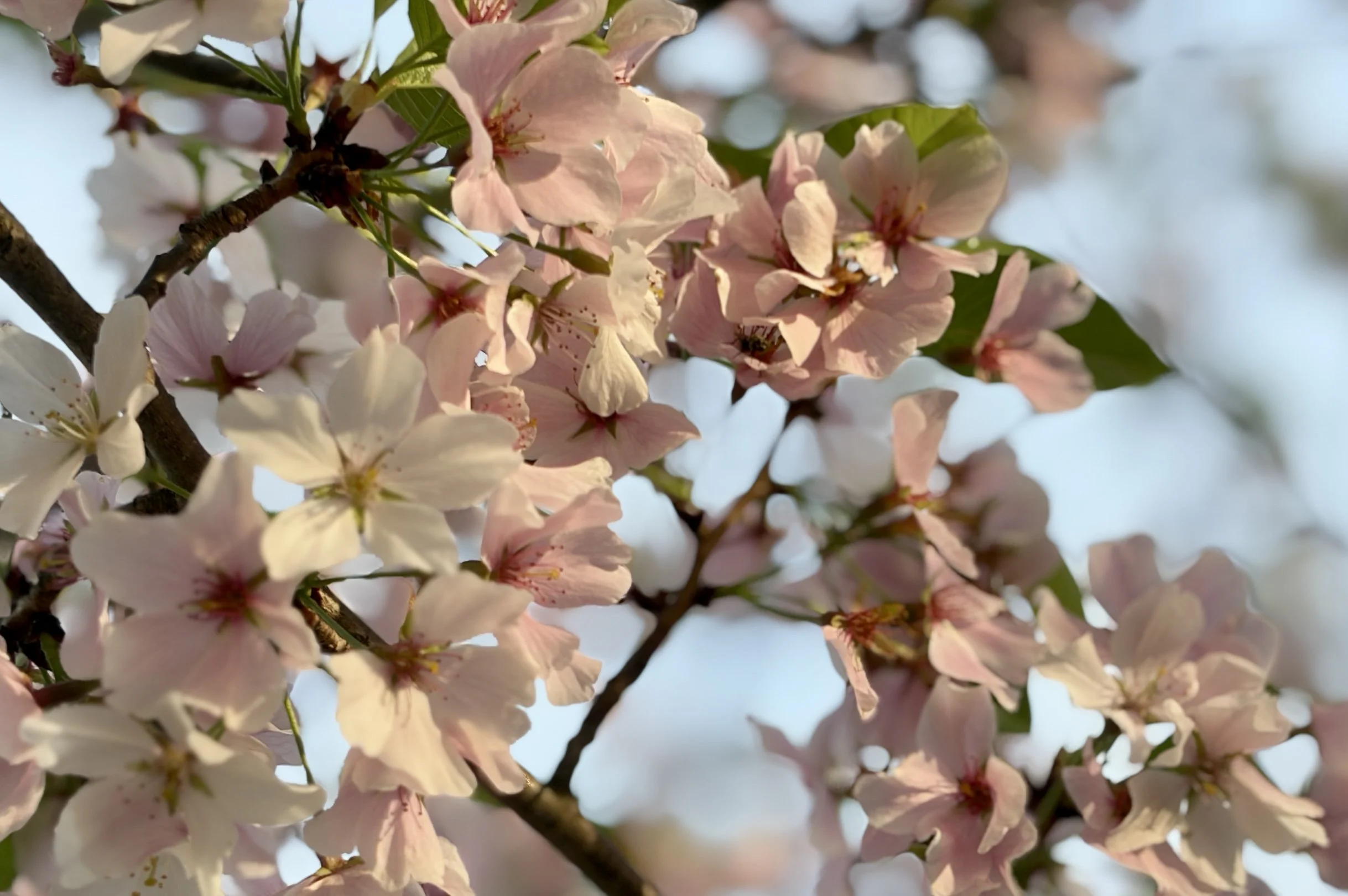 The Loop / April 21, 2026