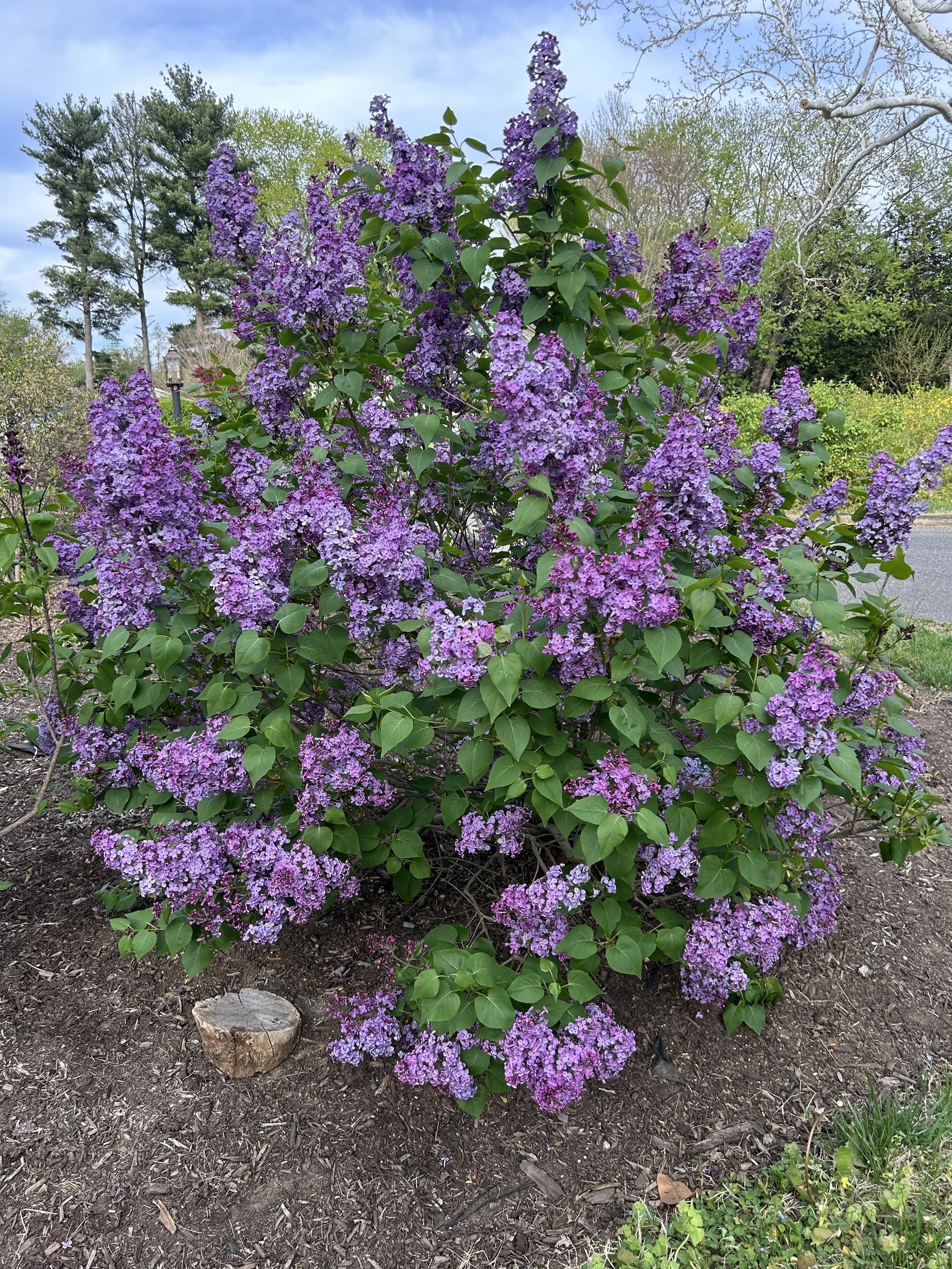 The Loop / April 21, 2026