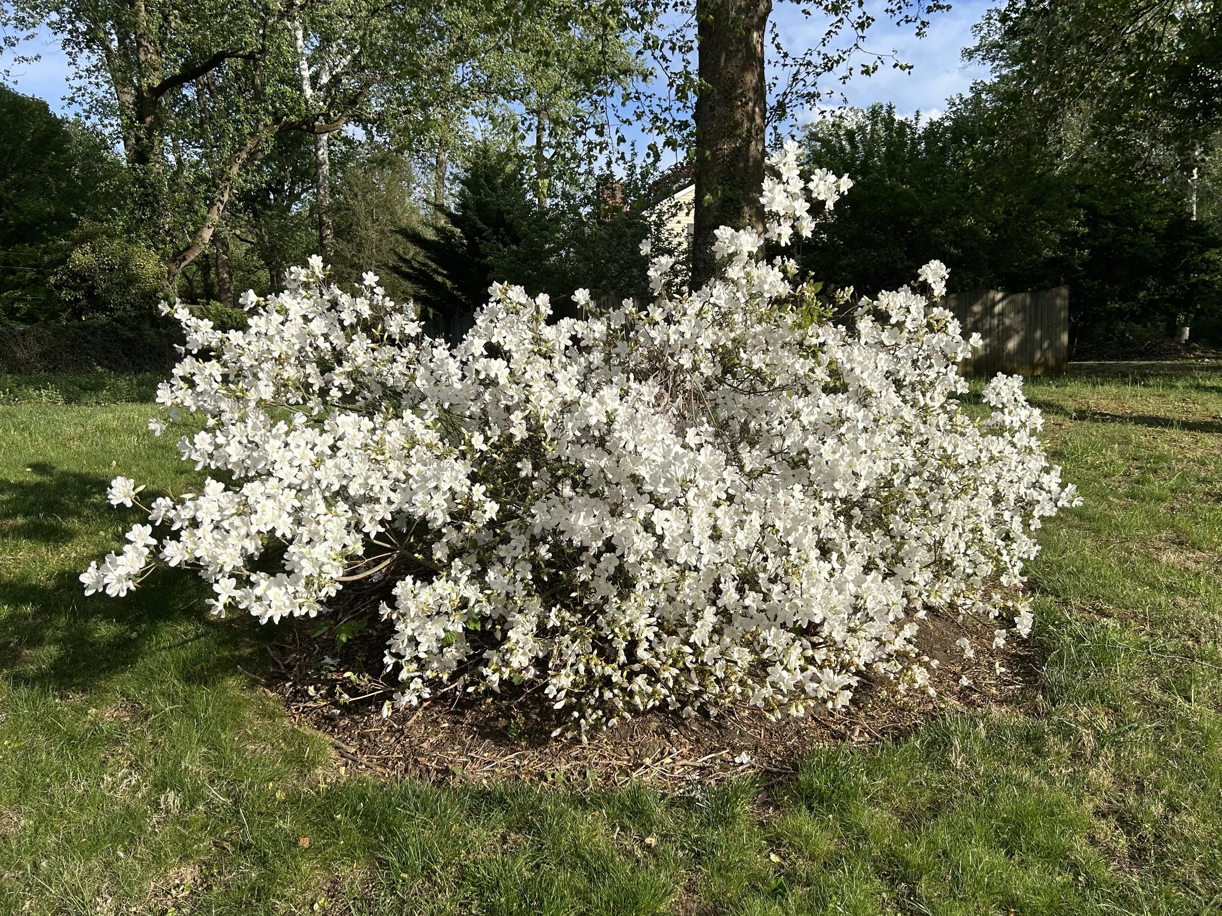 The Loop / June 9, 2026