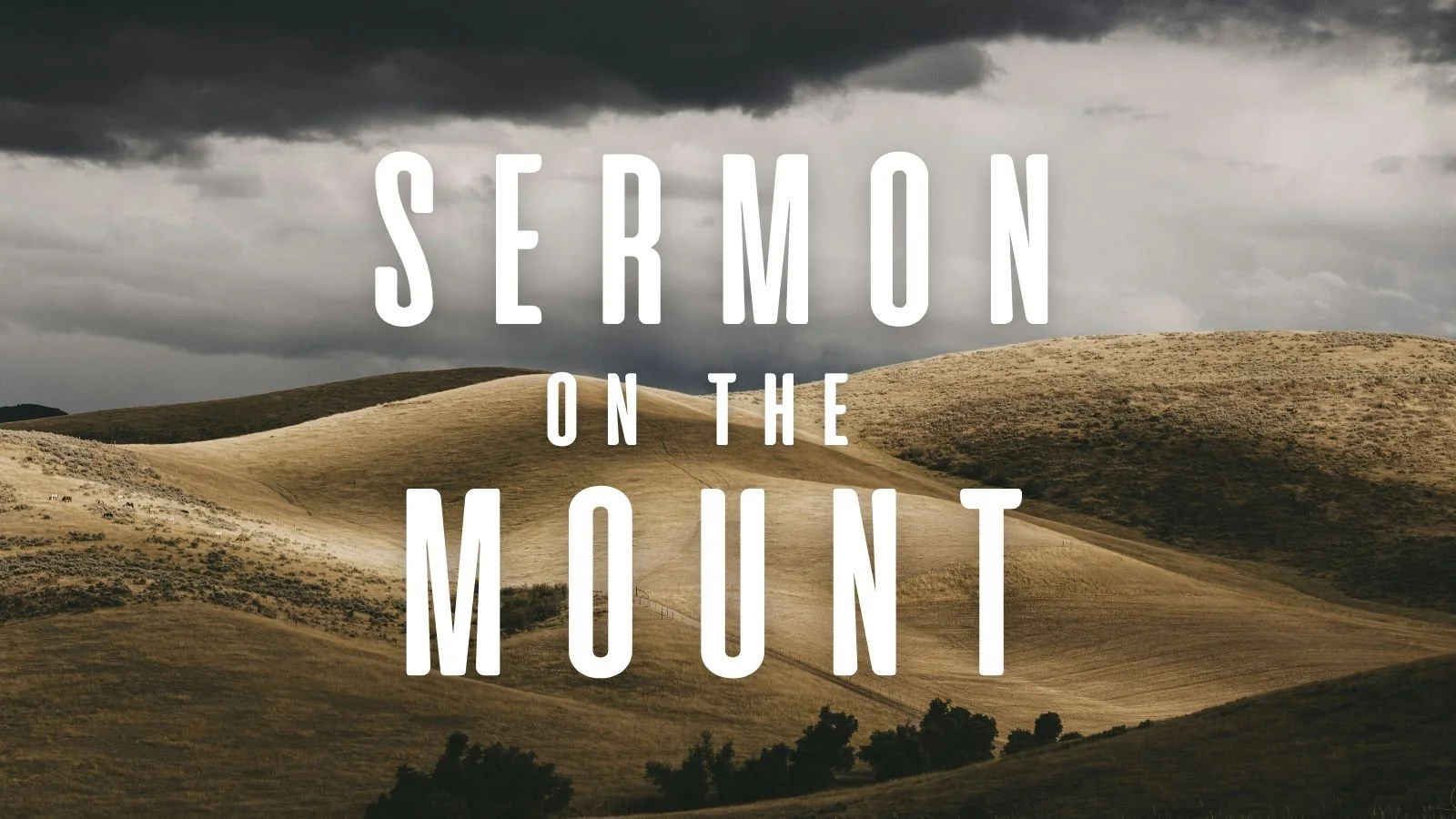 10.25.26 - Untitled Sermon (Paul McGrew)