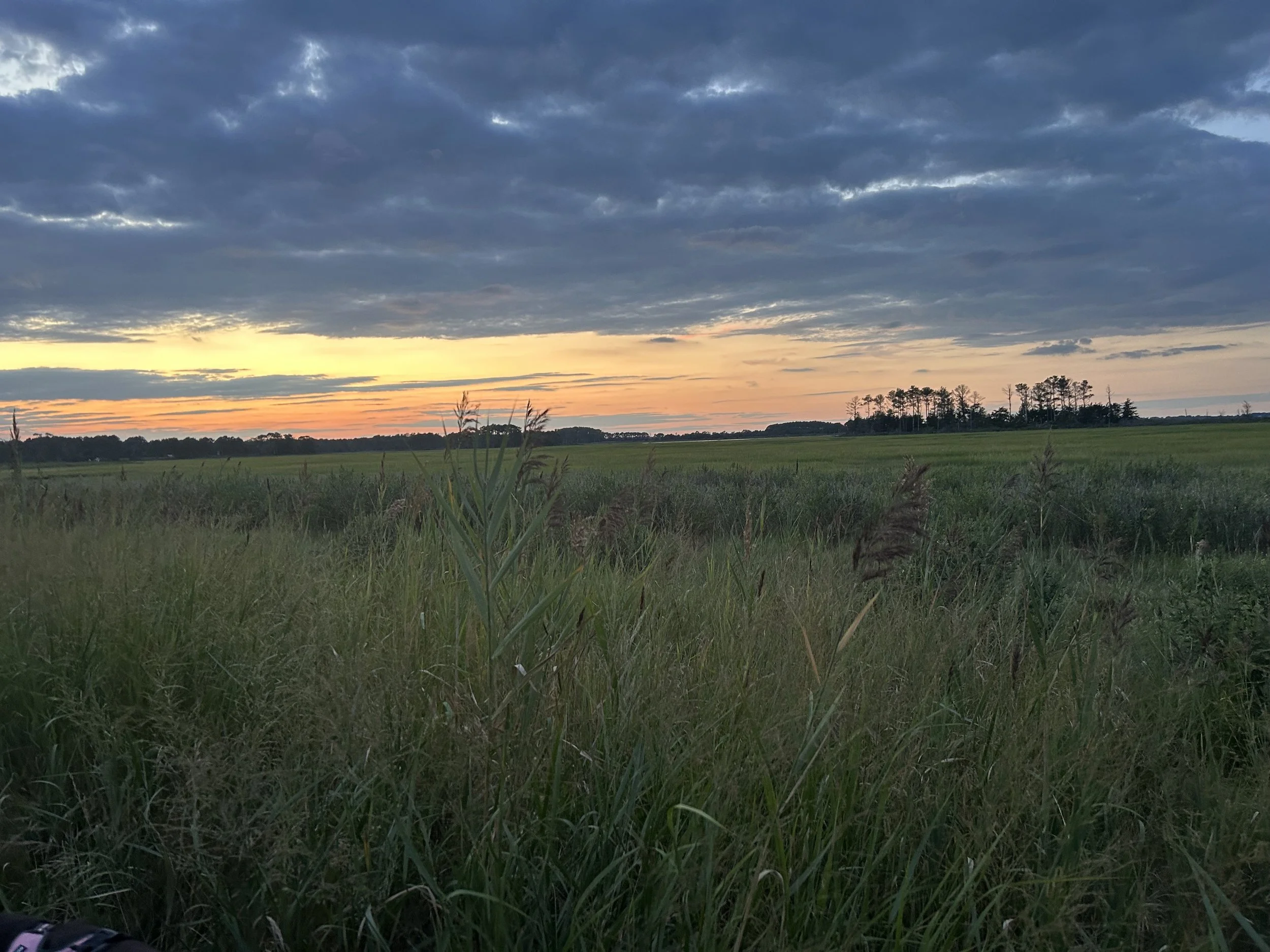 The Loop / September 1, 2026