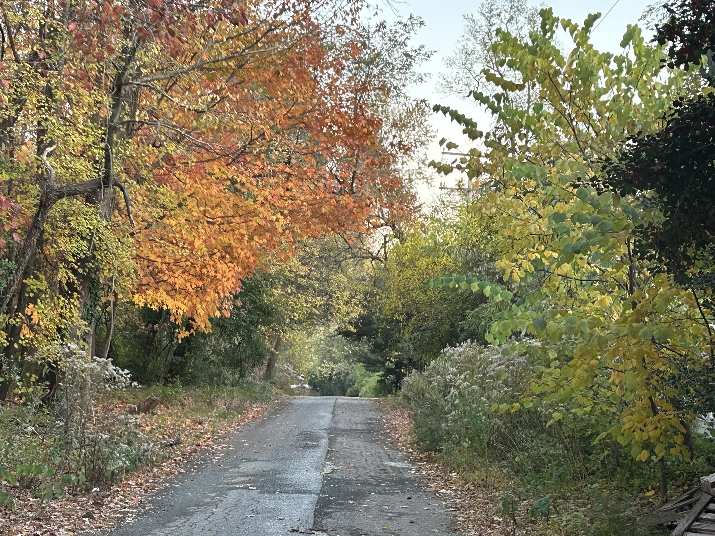 The Loop / October 20, 2026