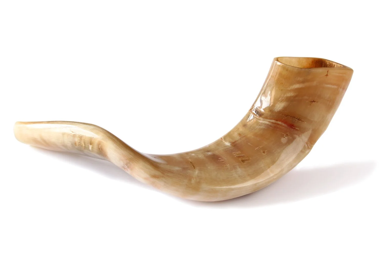 Sounds of the Shofar