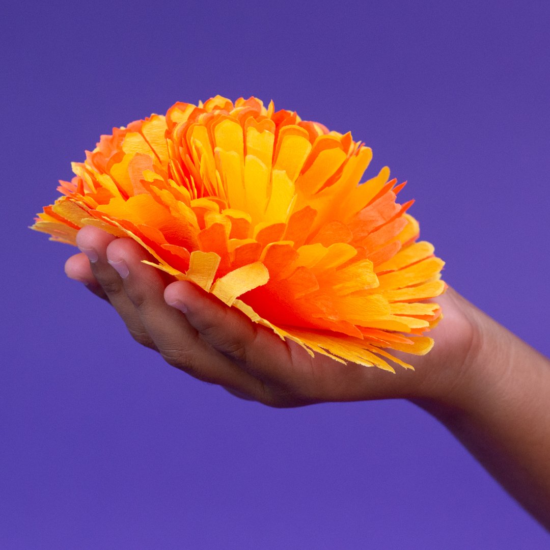2_Make your own Marigold flower.jpg