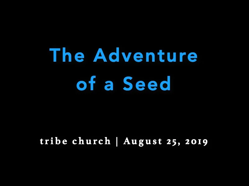 The Adventure of a Seed