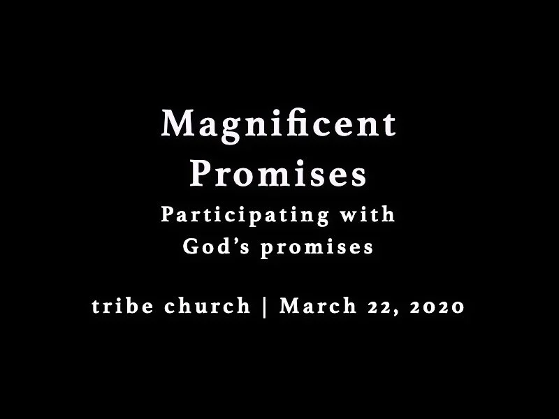 Magnificent Promises