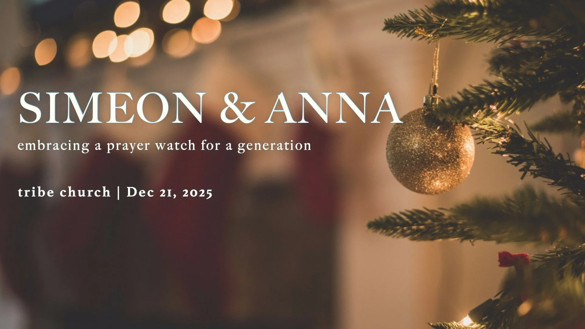 Simeon &amp; Anna // Kids Christmas Program