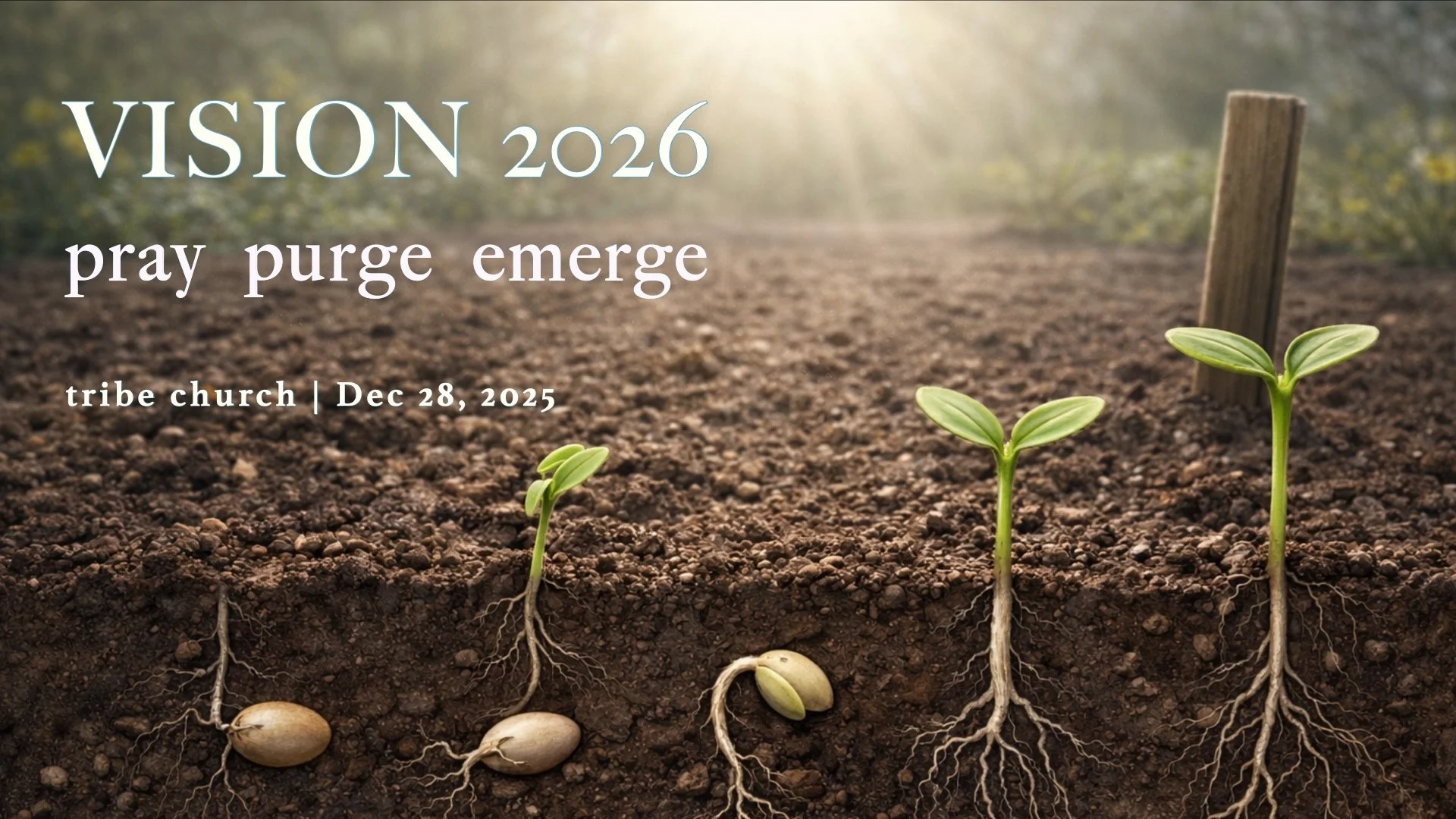 Vision 2026: Pray | Purge | Emerge