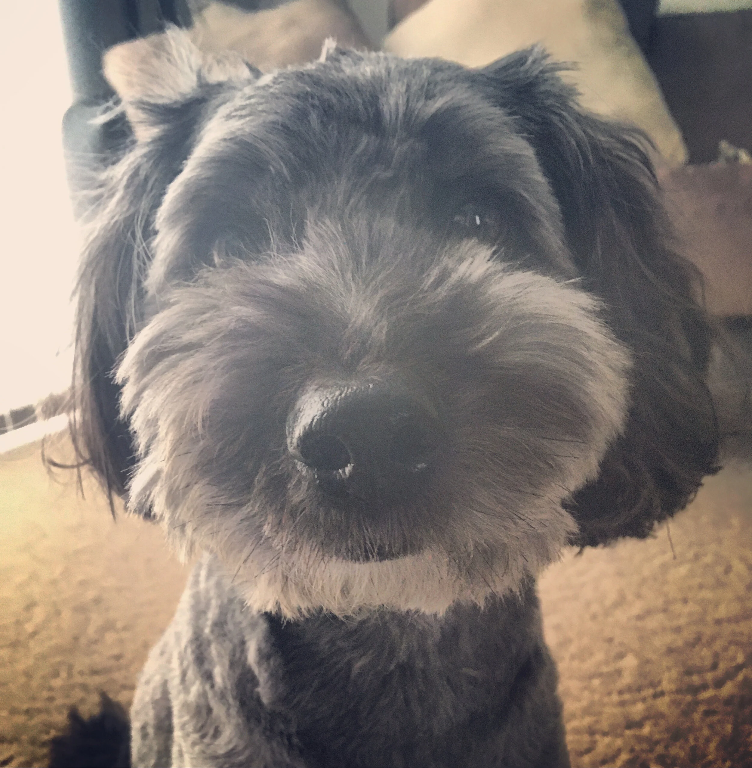 When Prove Them Wrong Means Prove My Worth. 