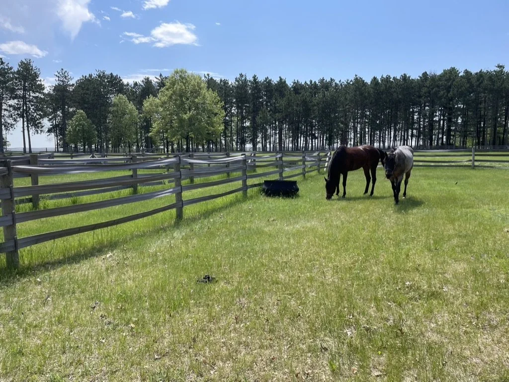 I’m Done Apologizing for Having Trauma