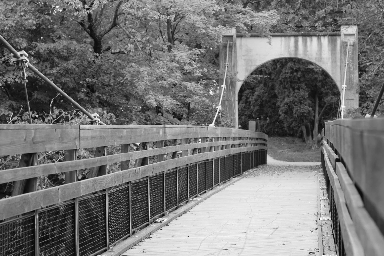 4-IMG_2884bw.jpg