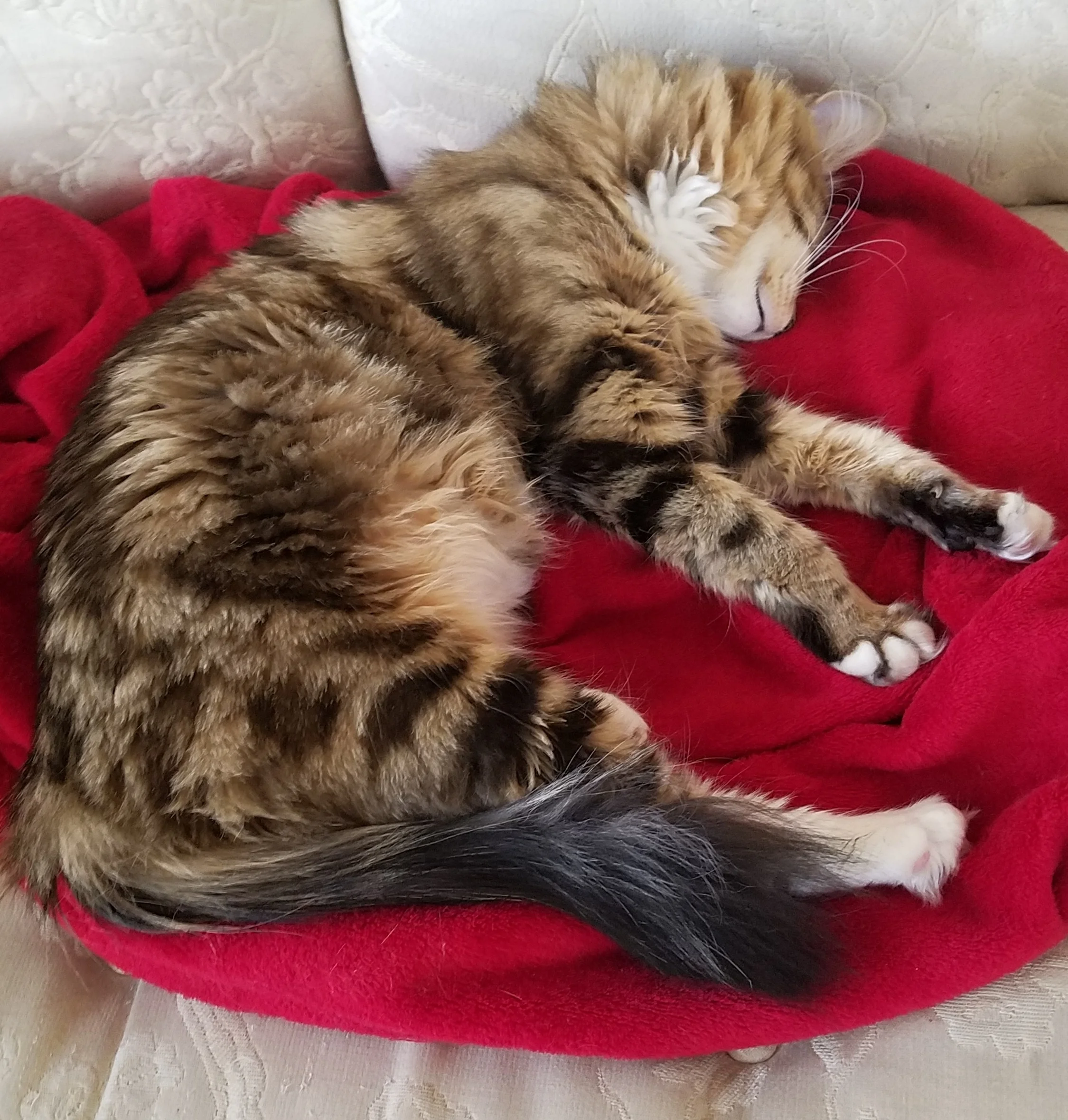 20180316_173351.jpg