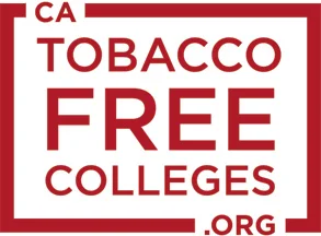 rabbit tobacco for sale near me Rabbit Tobacco Seeds