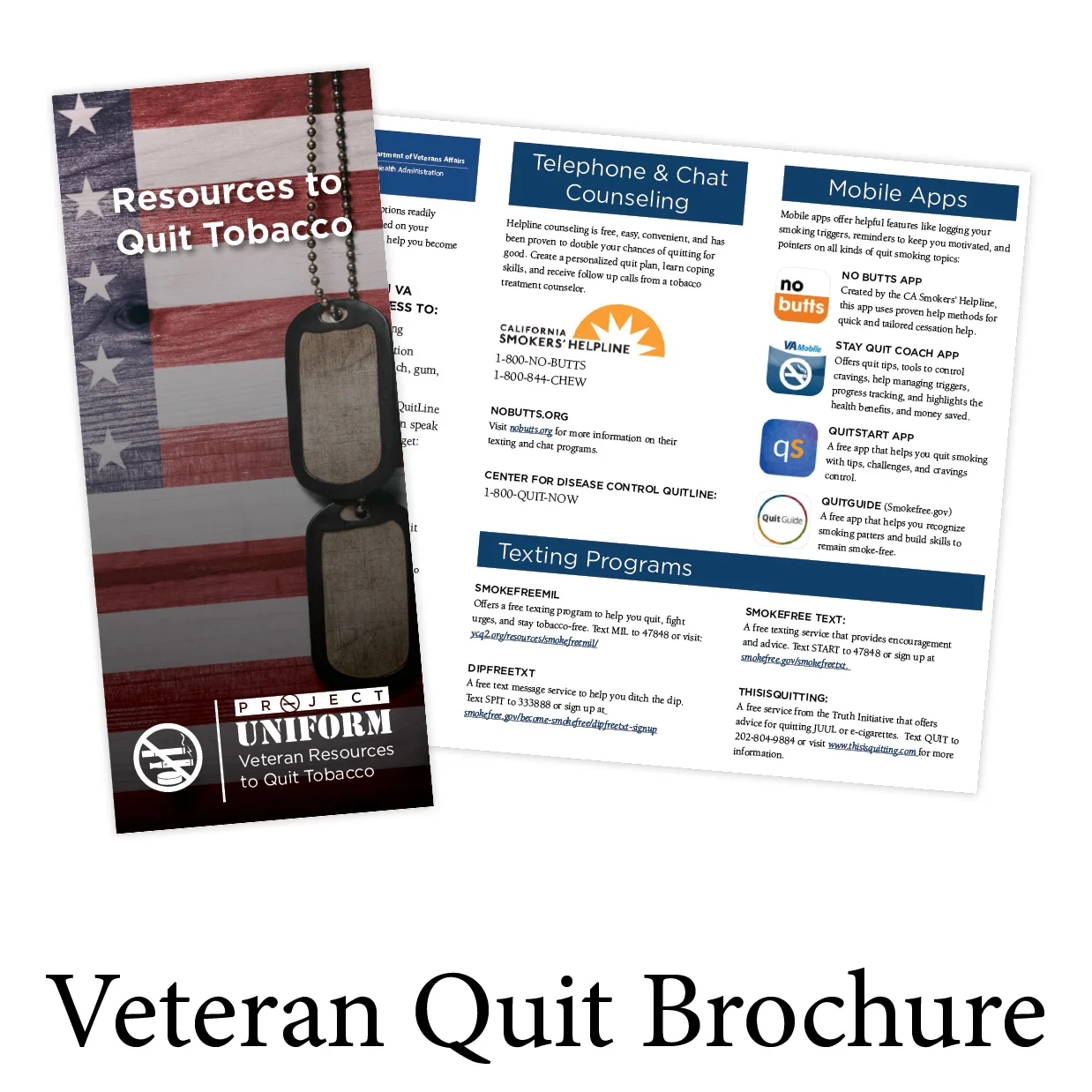 Veteran Quit.jpg