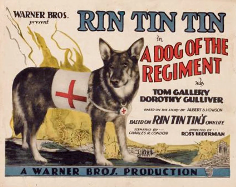 A_Dog_of_the_Regiment.jpg