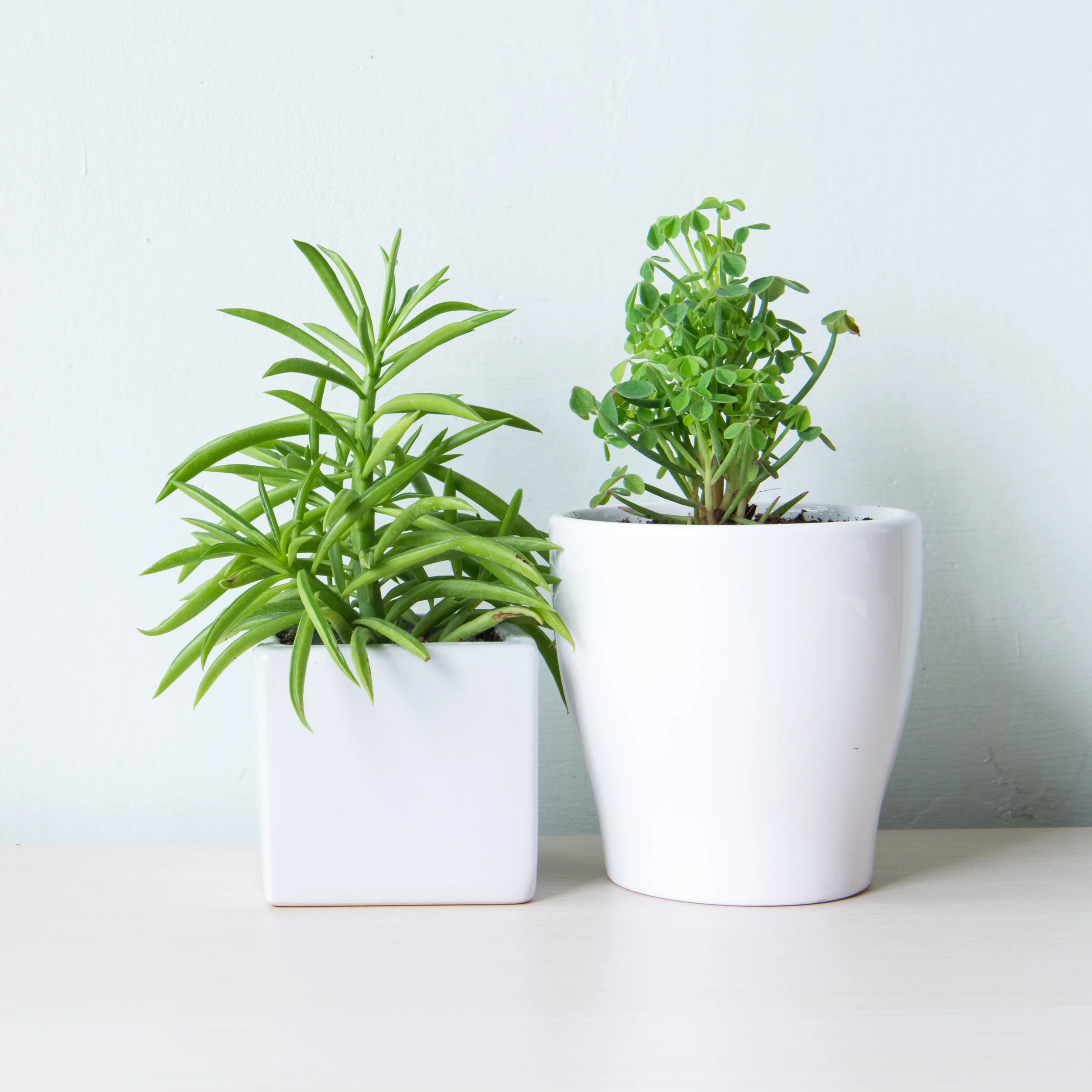 AdobeStock_142179478.jpeg