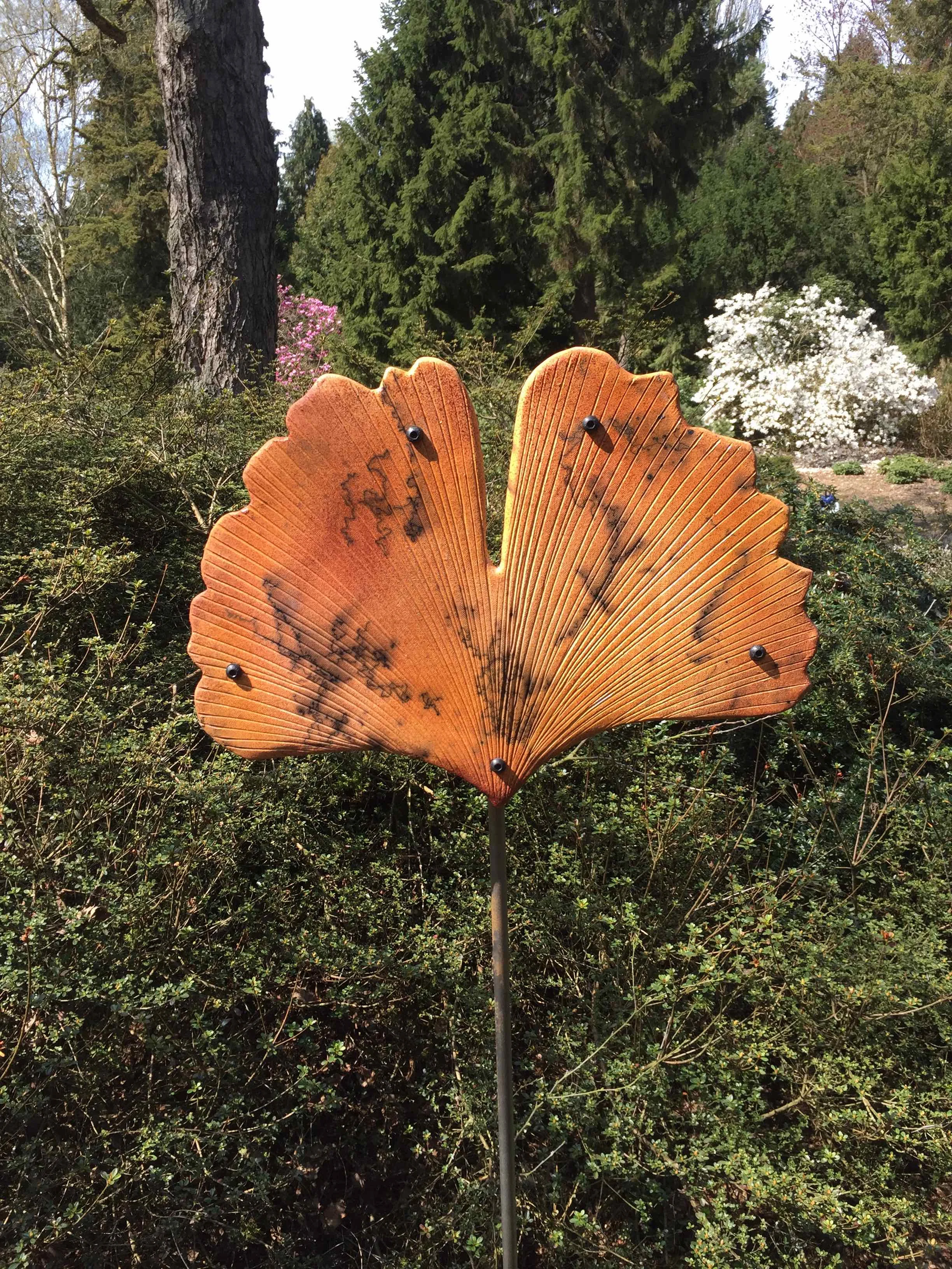 "Ray of Light" Horsehair Raku Gingko Leaf