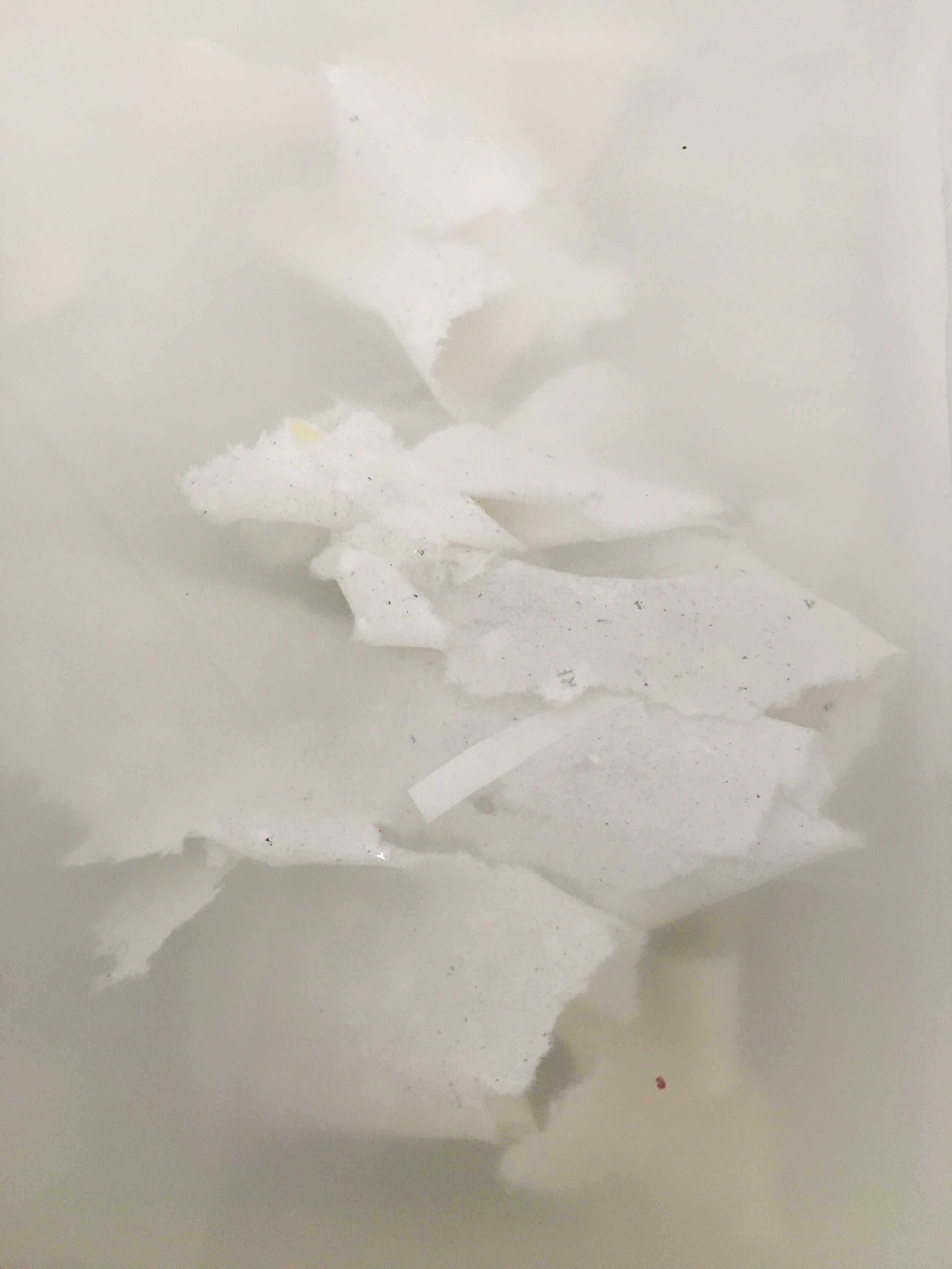 Process of making paper pulp