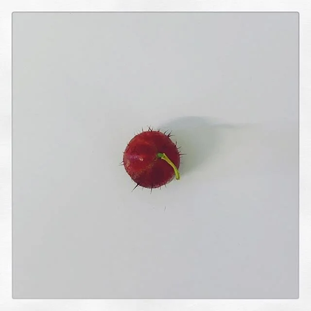 Fruit up your life! 🌞
___
#stachelbeere #gooseberry #fruit #fruitlover #fruitgram #fruitphotography #vitamins #foodporn #food #gesundessen #foodphotography #foodgram #vitamine #frucht #früchte #nature #vegetarisch #vegetarian #vegan #veganfood #gif