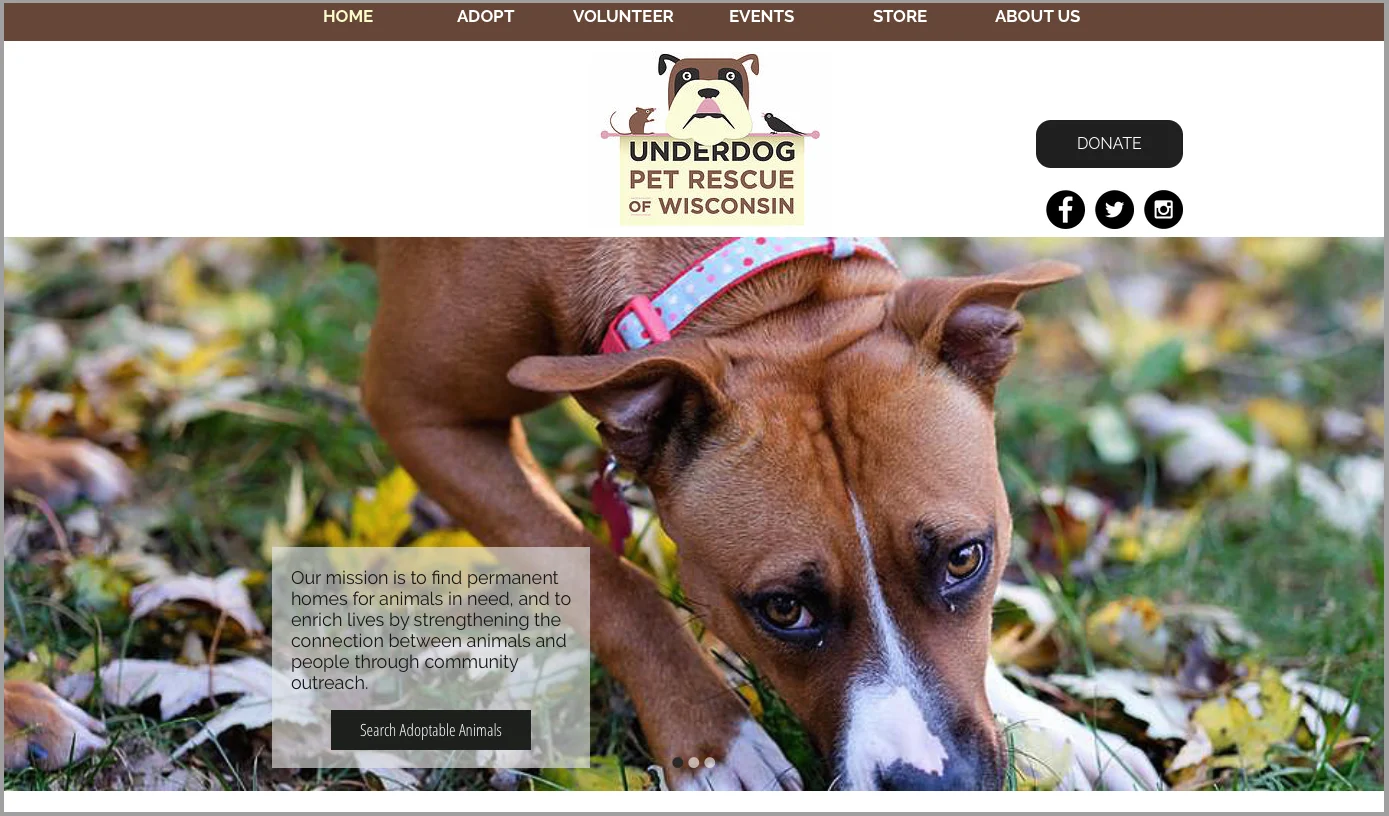 Custom Website Design