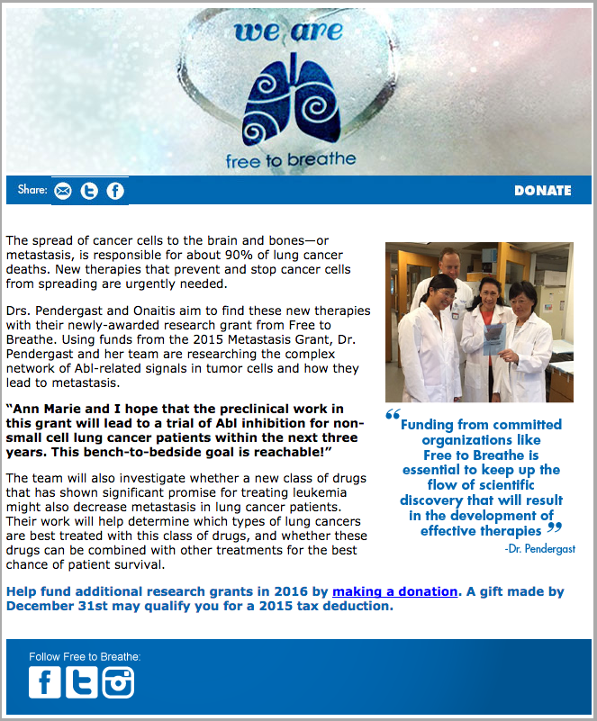Email Campaign Design