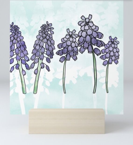 Grape hyacinth print (Copy)