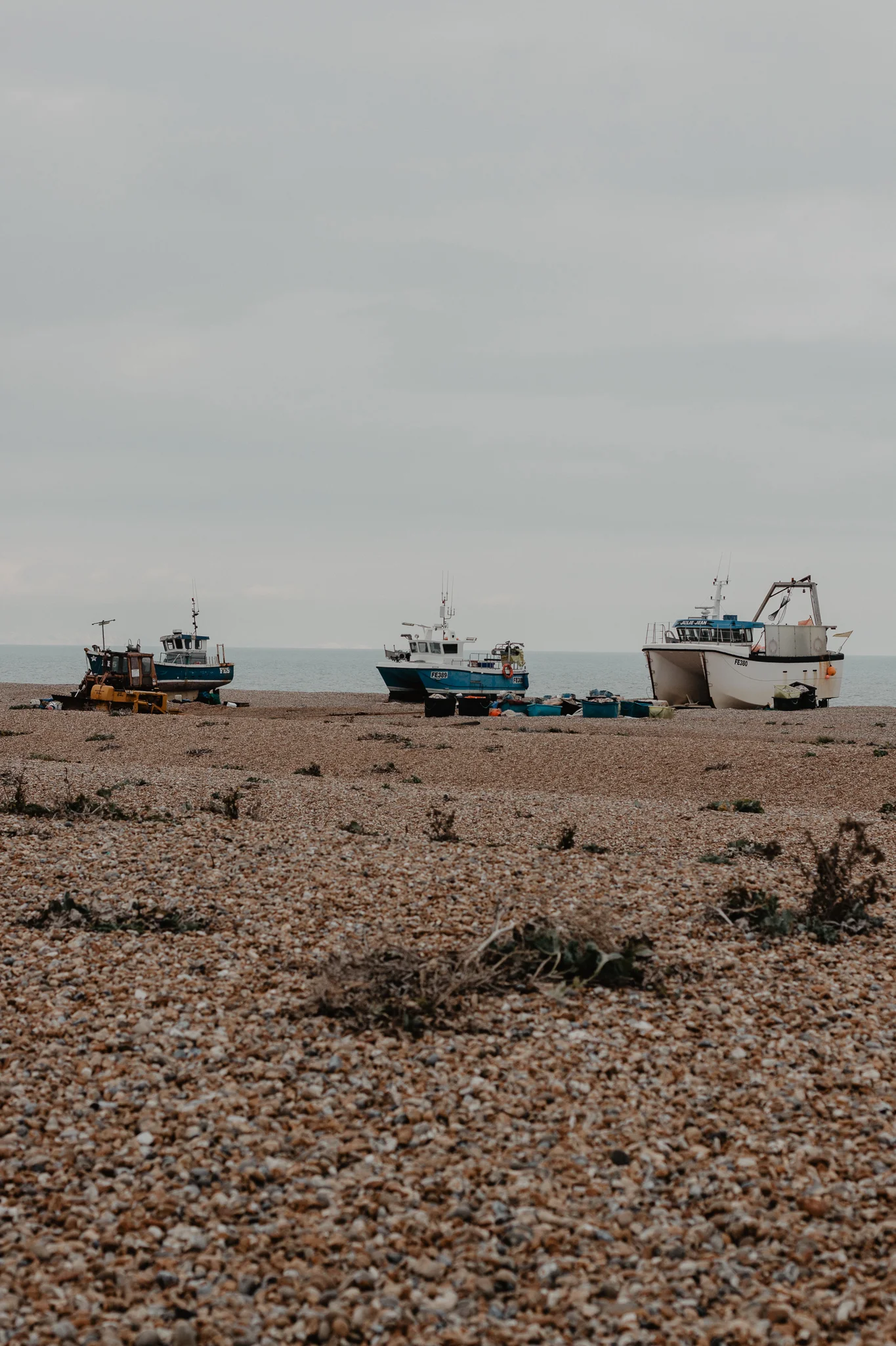 dungeness-2.jpg