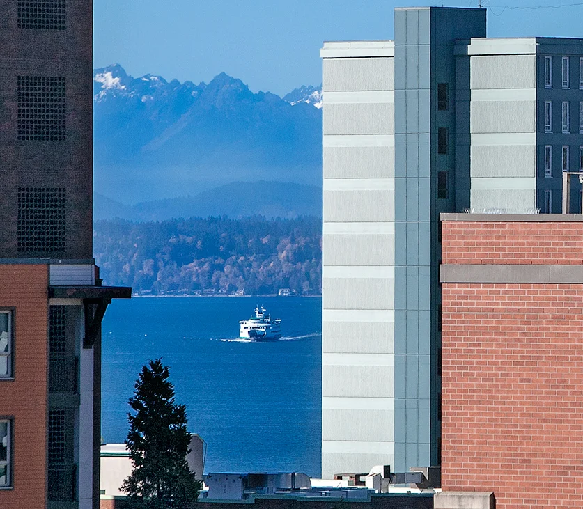 _MG_2190.jpg