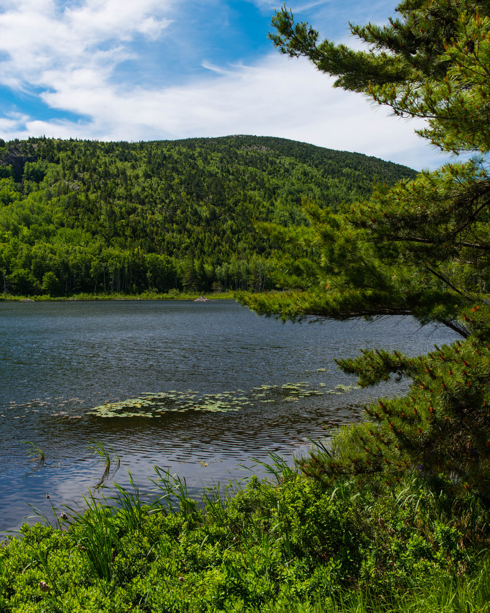DSC_4842.jpg