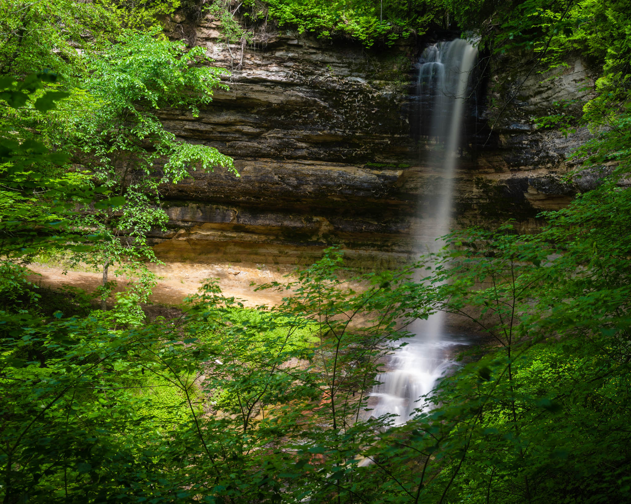 DSC_5465.jpg