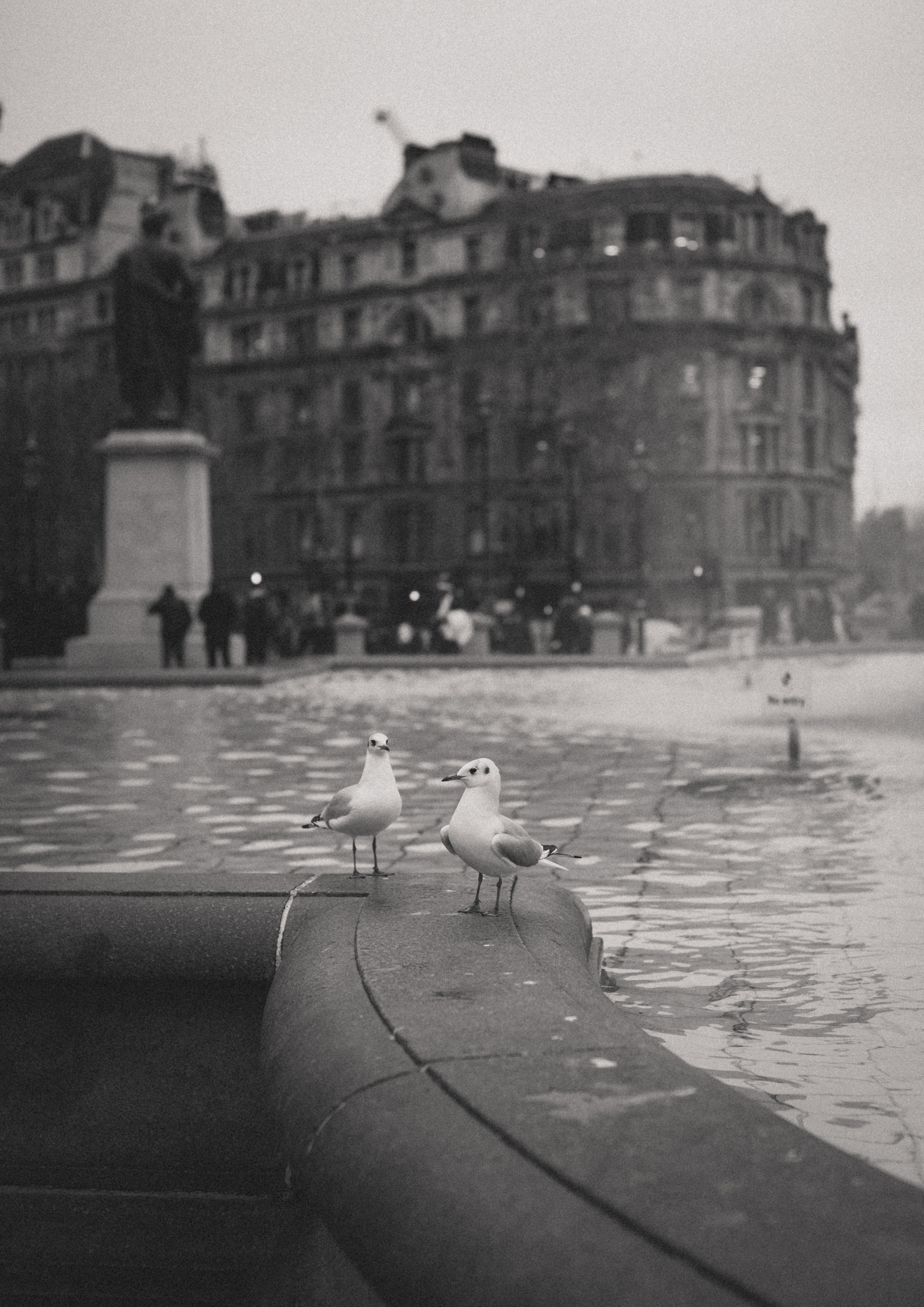 LondonV-8.jpg