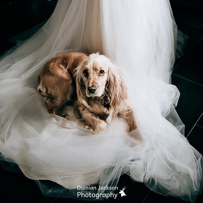 Yorkshire wedding photographer