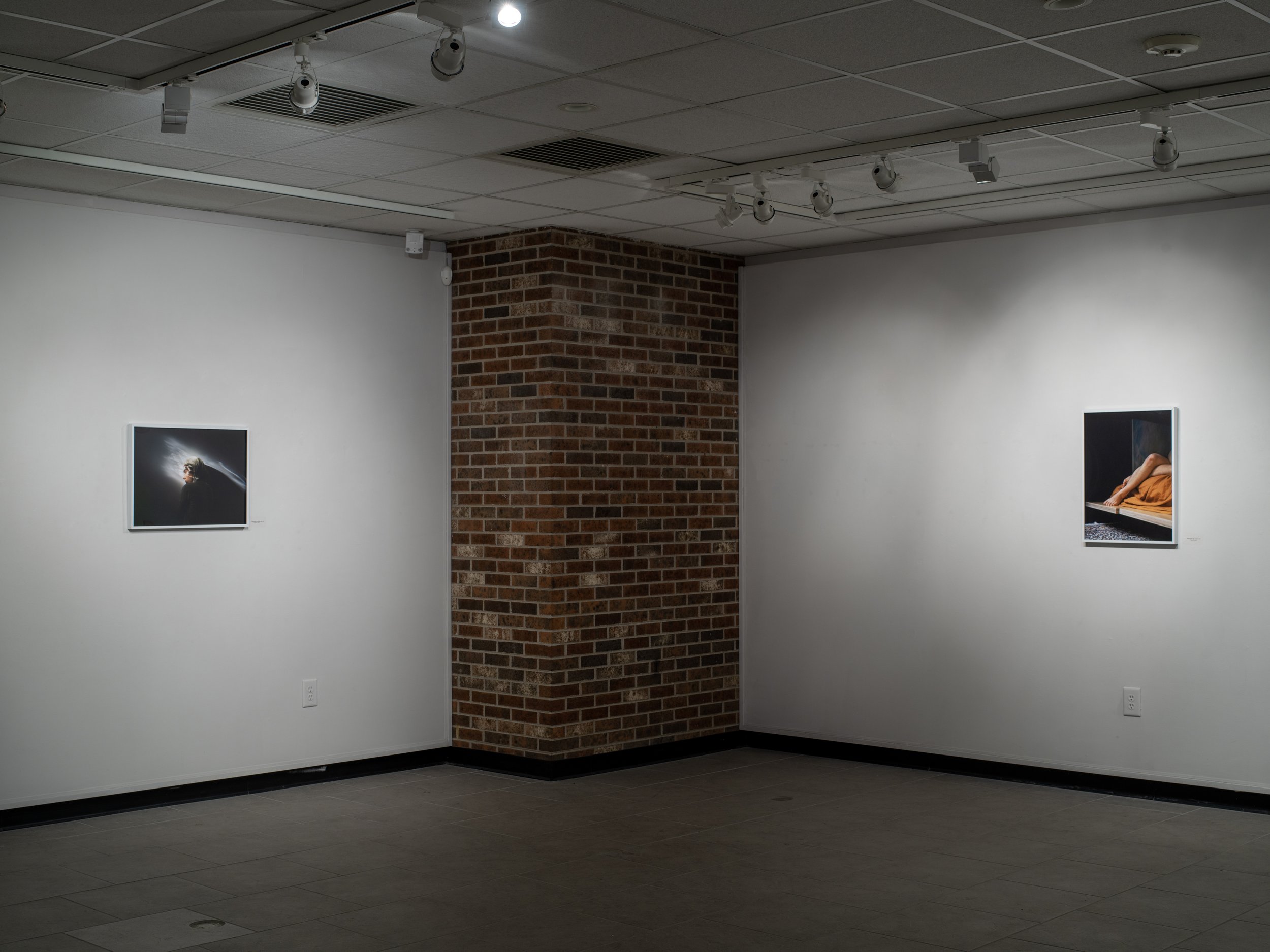   Love is not the last room  at the Alan Priebe Gallery at UW Oshkosh 