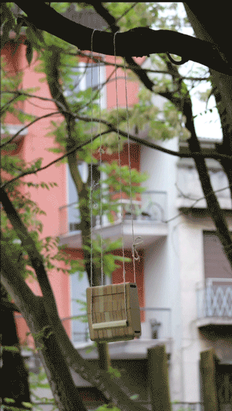 Gif.gif