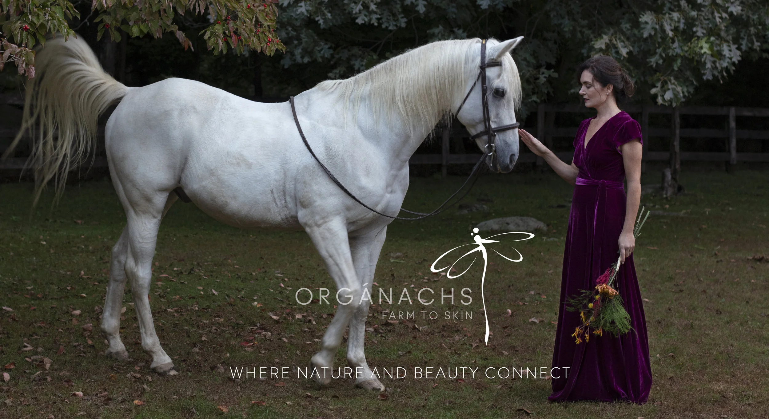  Holiday 2018 Campaign for Westport, CT beauty boutique Organachs Farm to Skin.  