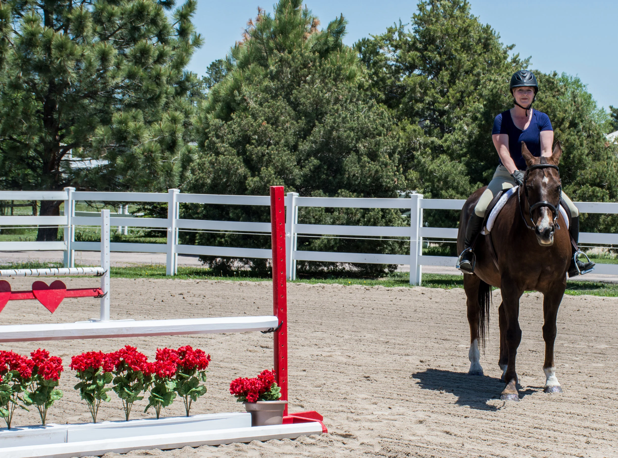 How To Stage An Equestrian Property S6 Ep9.jpg