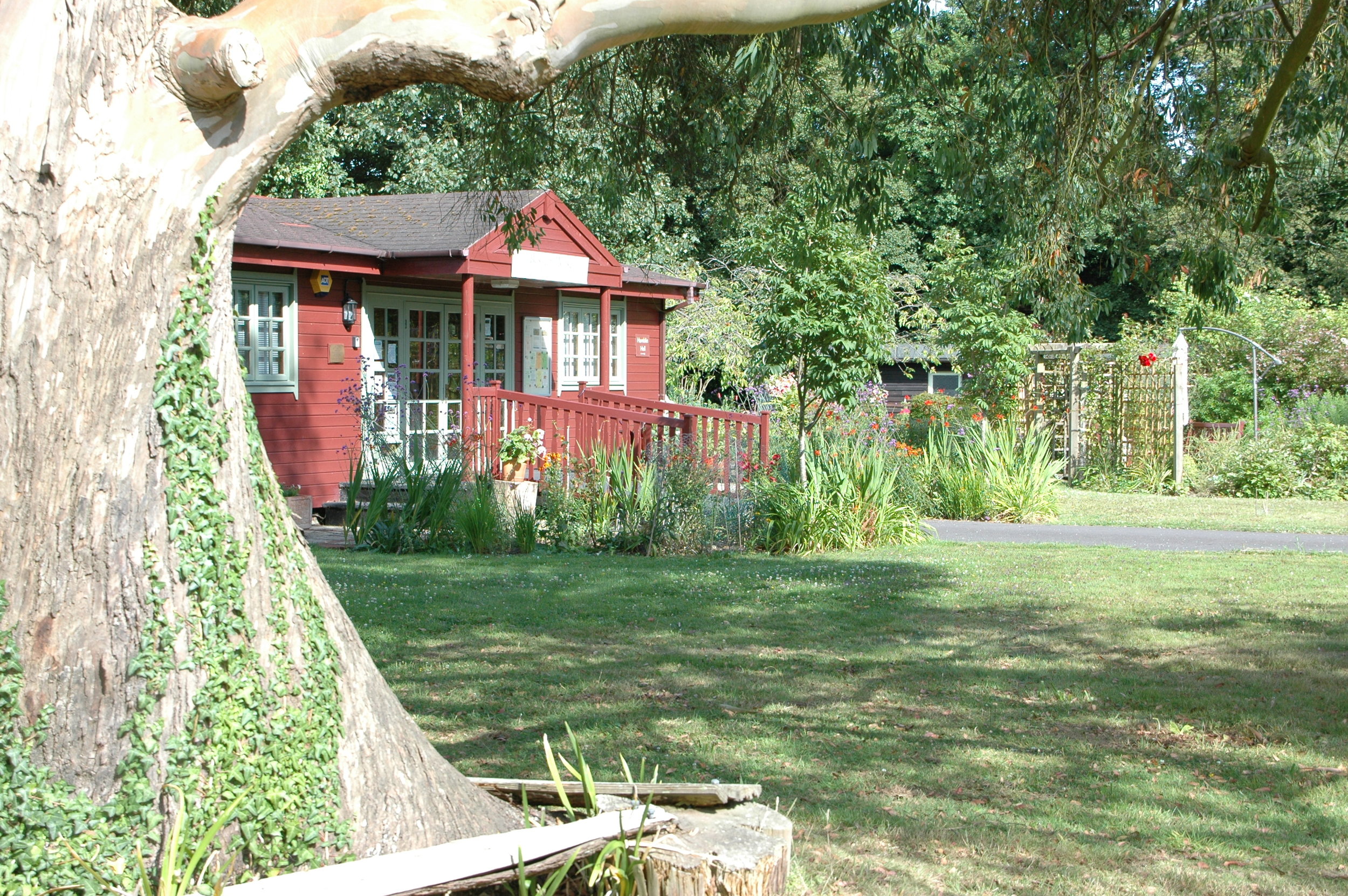 Front of Offices with tree.JPG