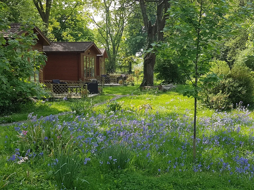 The Retreat Lodges in springtime