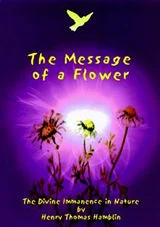 messageofaflower.jpg