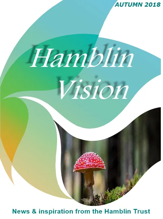 Hamblin Vision, Autumn 2018