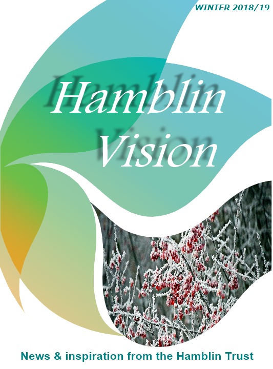 Hamblin Vision, Winter 2018