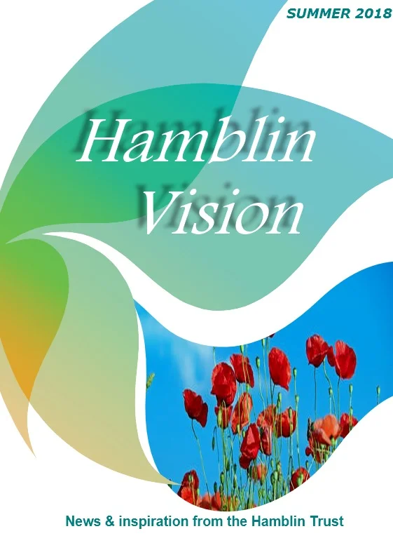 Hamblin Vision, Summer 2018