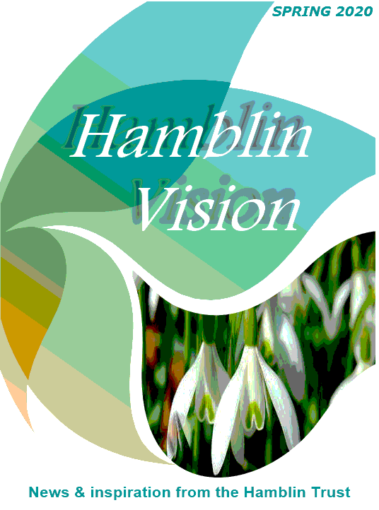 Hamblin Vision, Spring 2020