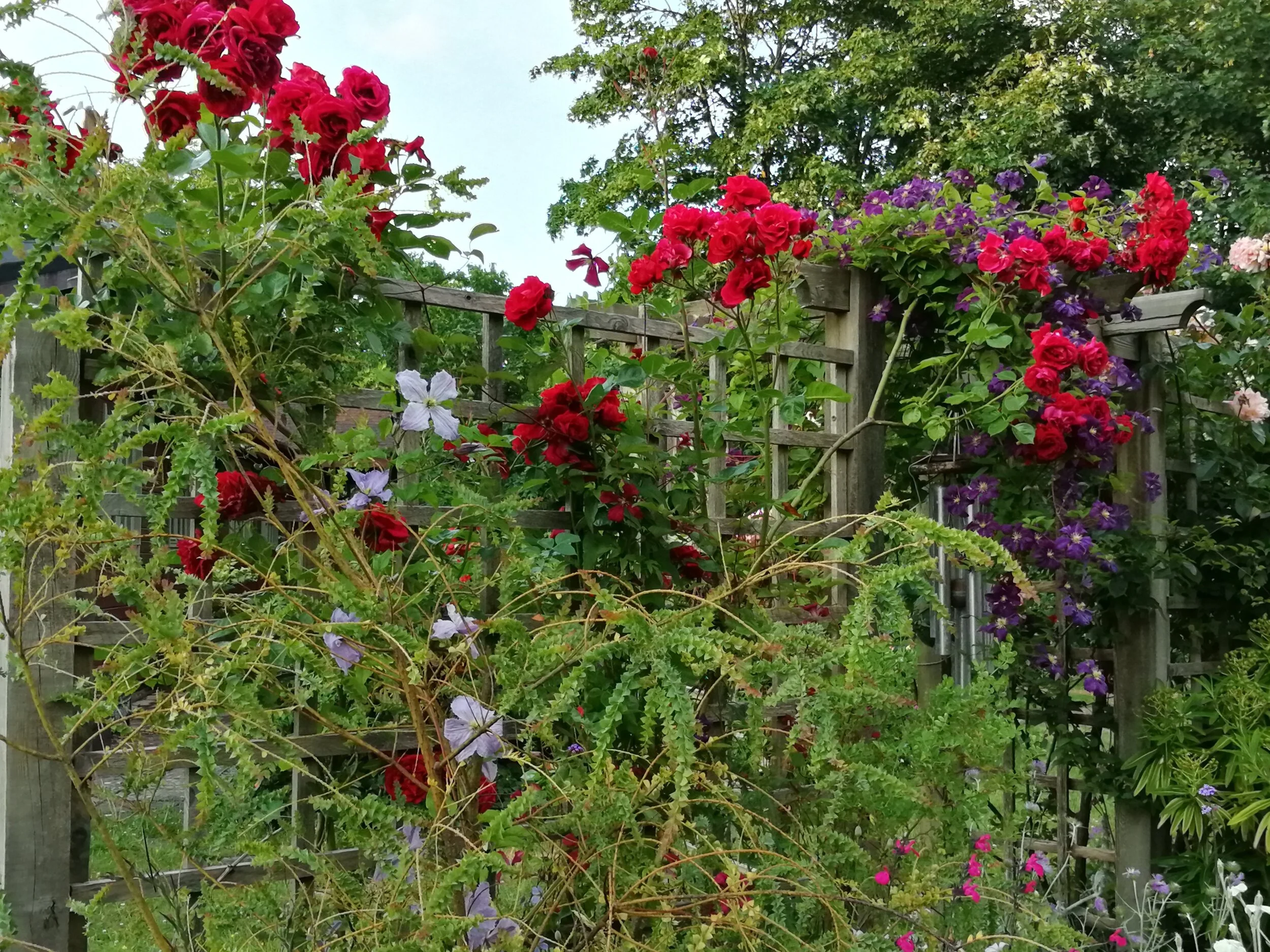 God is in the Garden