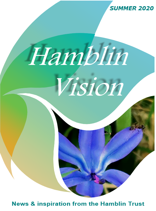 Hamblin Vision Summer 2020