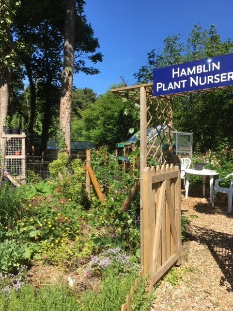 The Plant Nursery