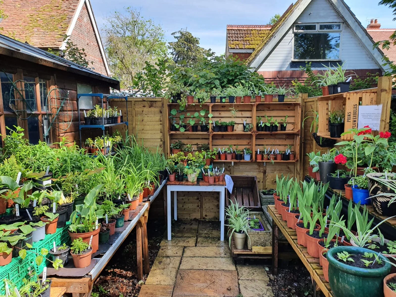 The Plant Nursery