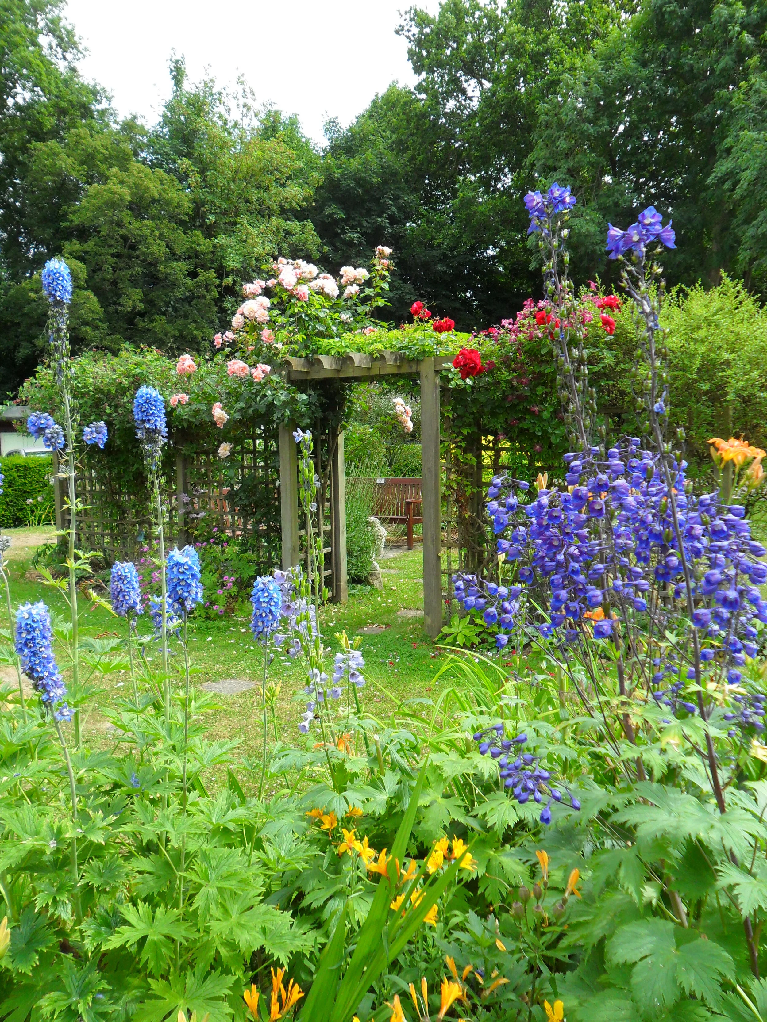 A Mindful Day of Stillness