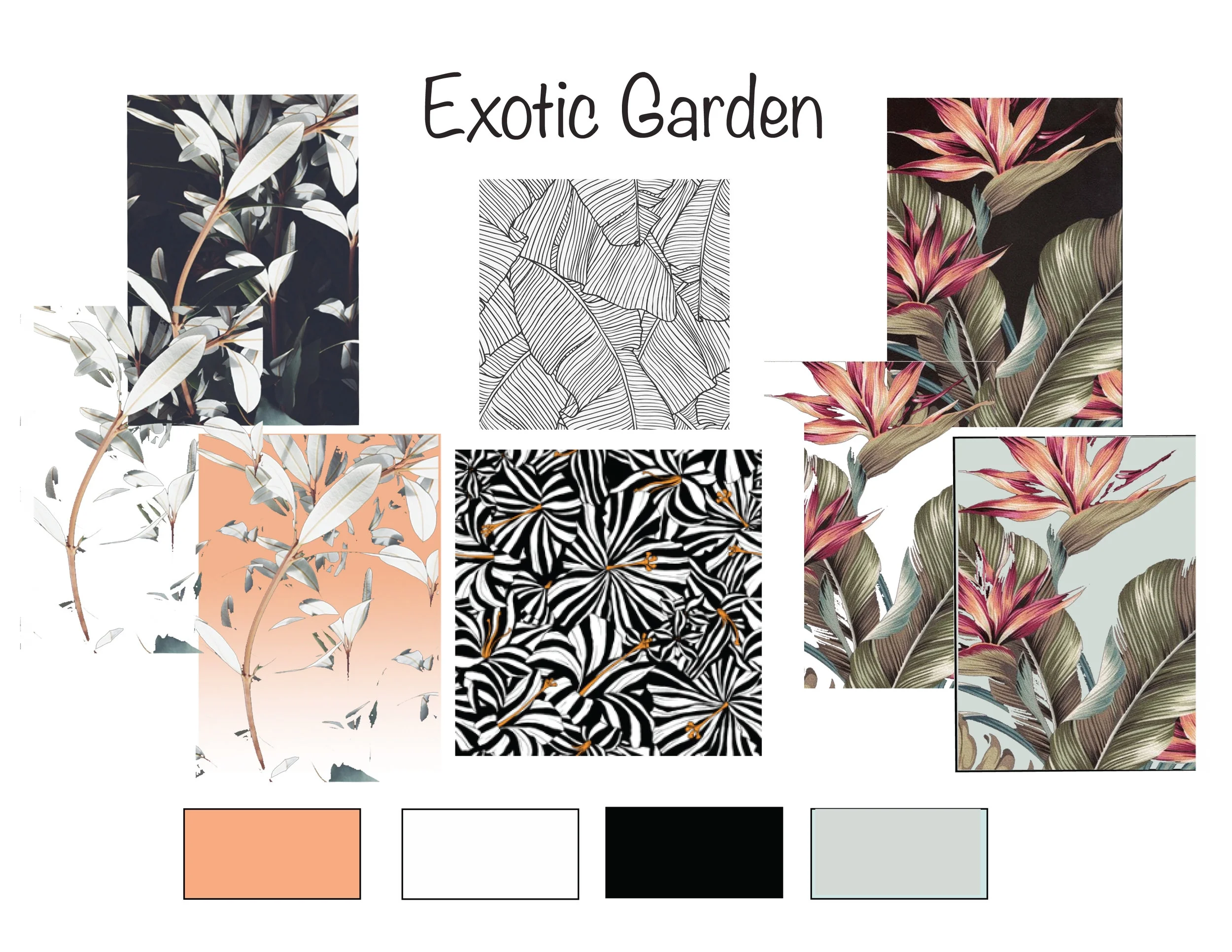 COLOR & PRINT BOARD